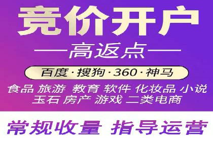 专业SEM代运营推广公司成功案例分享